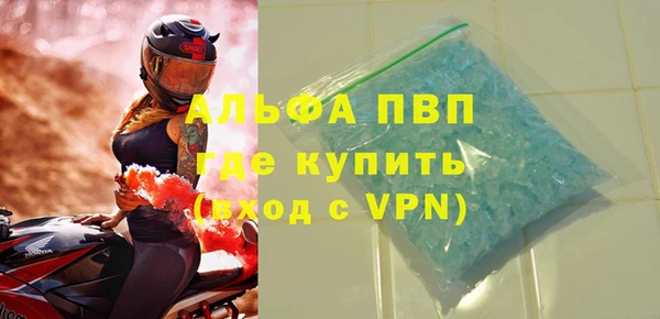 гидра Каменногорск