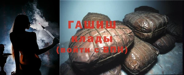гидра Каменногорск