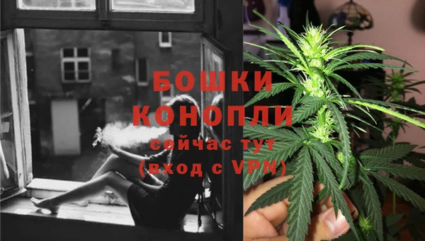 a pvp Каменка