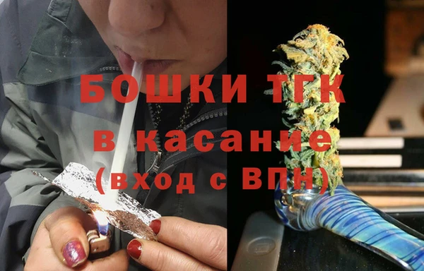 гидра Каменногорск