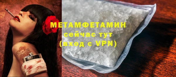гидра Каменногорск