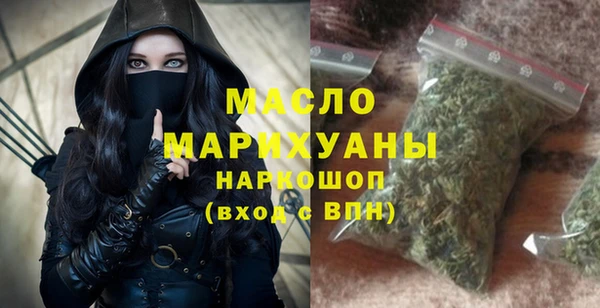 гидра Каменногорск