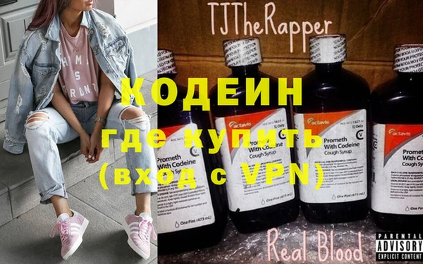 гидра Каменногорск
