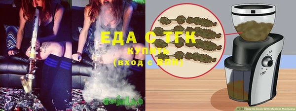 гидра Каменногорск