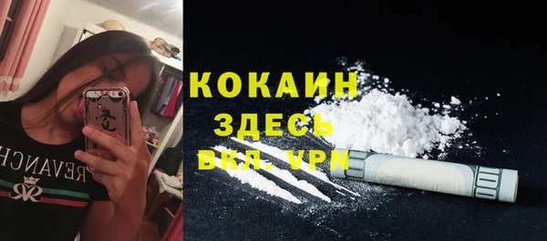 a pvp Каменка