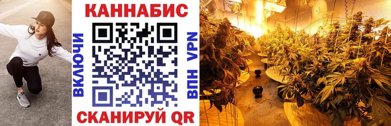 Канабис Amnesia  Купить где  Гурьевск 